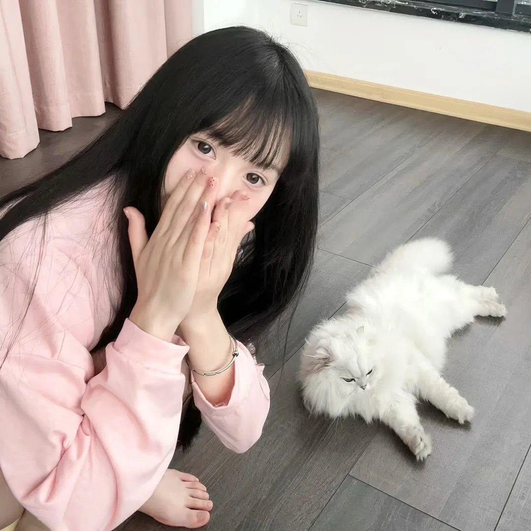三只狼